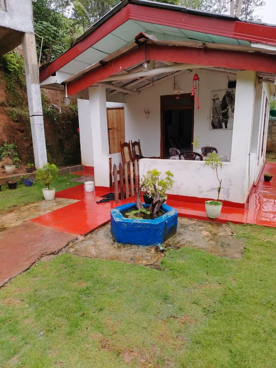 Ella Willow Cottage Zewnętrze zdjęcie